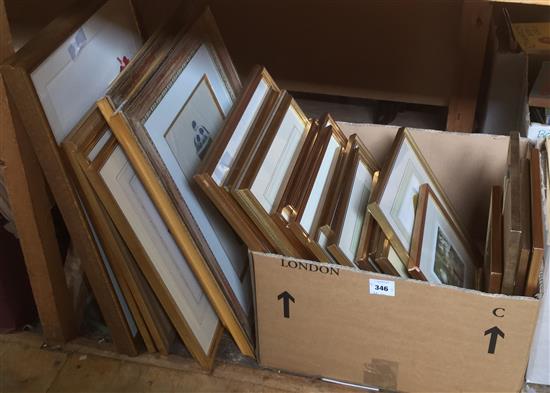 15 framed antique prints, inc fruit, butterflies and flowers